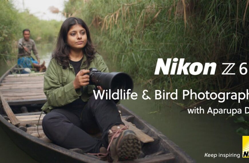 Nikon Z6III - Fotografia dzikiej przyrody z Aparupa Dey