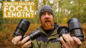 Tajemnice makrofotografii - wybór idealnej ogniskowej